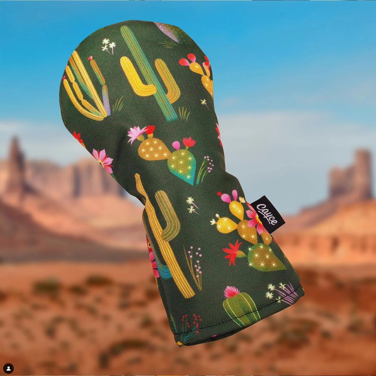 Cayce-cactus-2.jpg