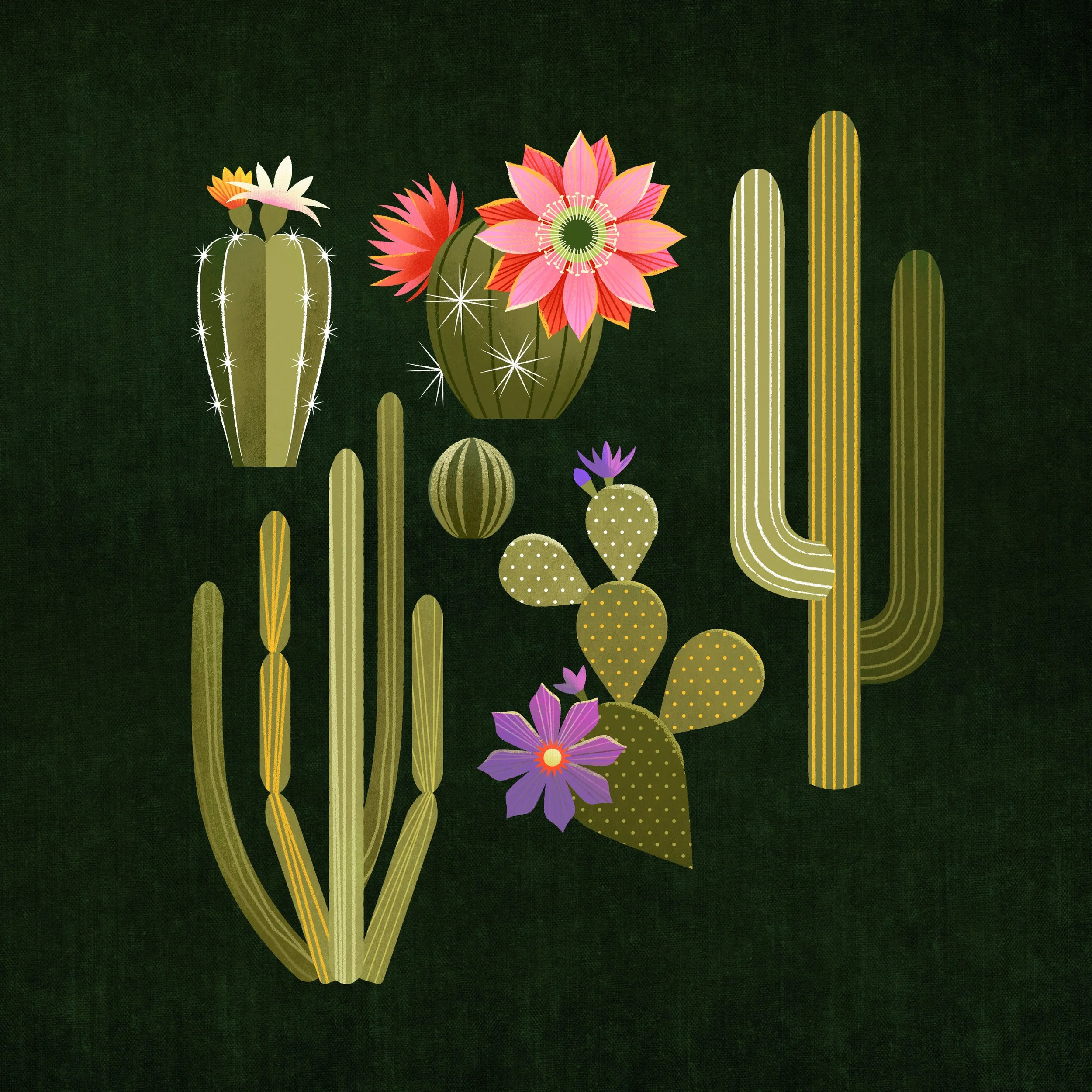cactus-1.jpg