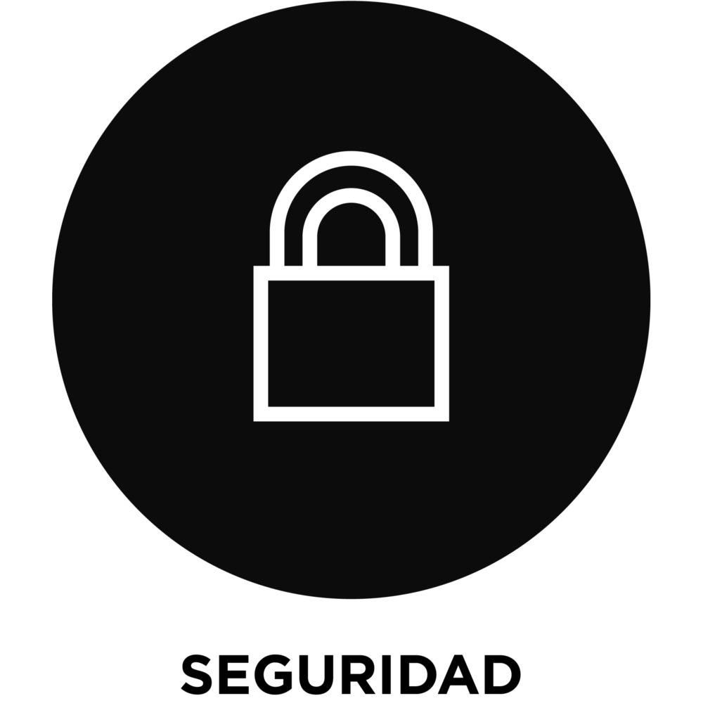seguridad.png