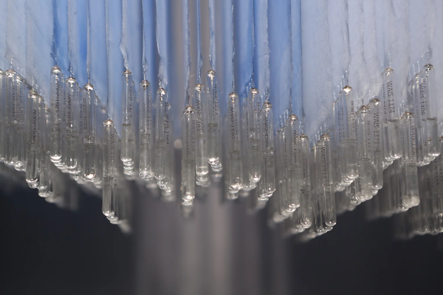 WAIS Reliquary: 68,000 Years (2016), detail. Installation by artist Anna McKee. Dyed silk, 3405 glass ampules, water from melted ice cores drilled in Antarctica, wood, 8 channels of audio, derived from a recording of "playing" the glass ampules. (photo: Anna McKee).