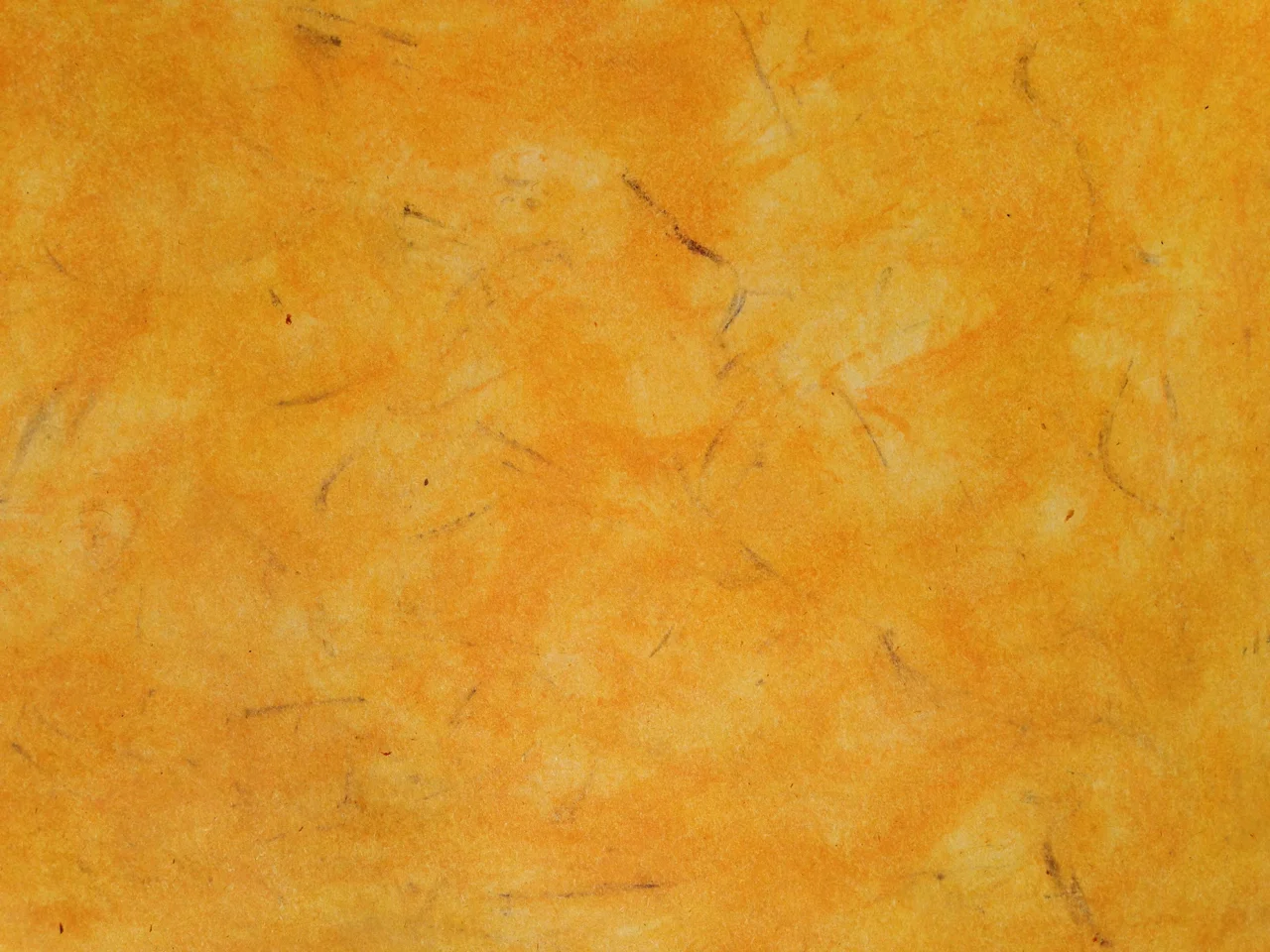 California Poppy