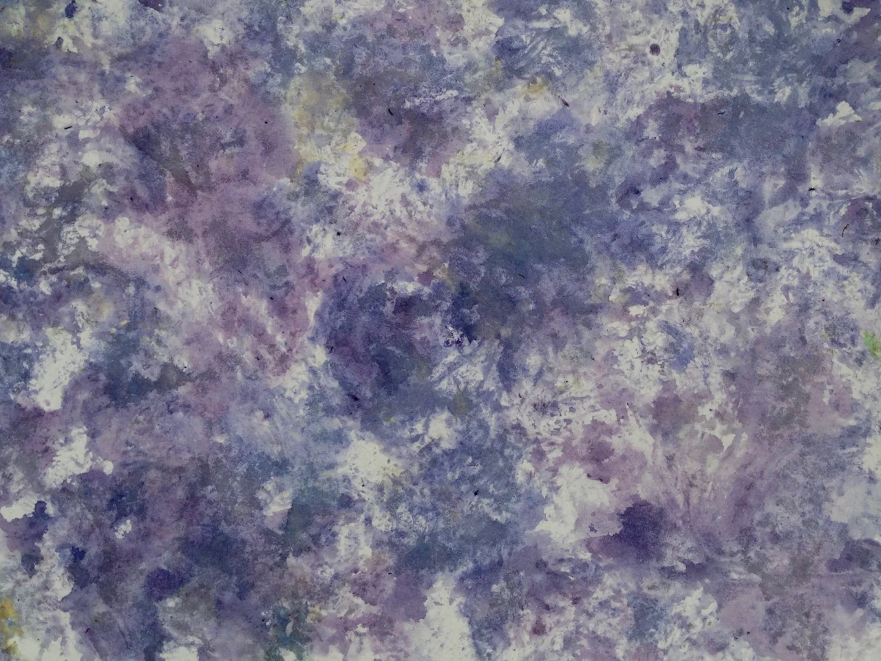 California Poppy, Campanula, Rhododendron #3