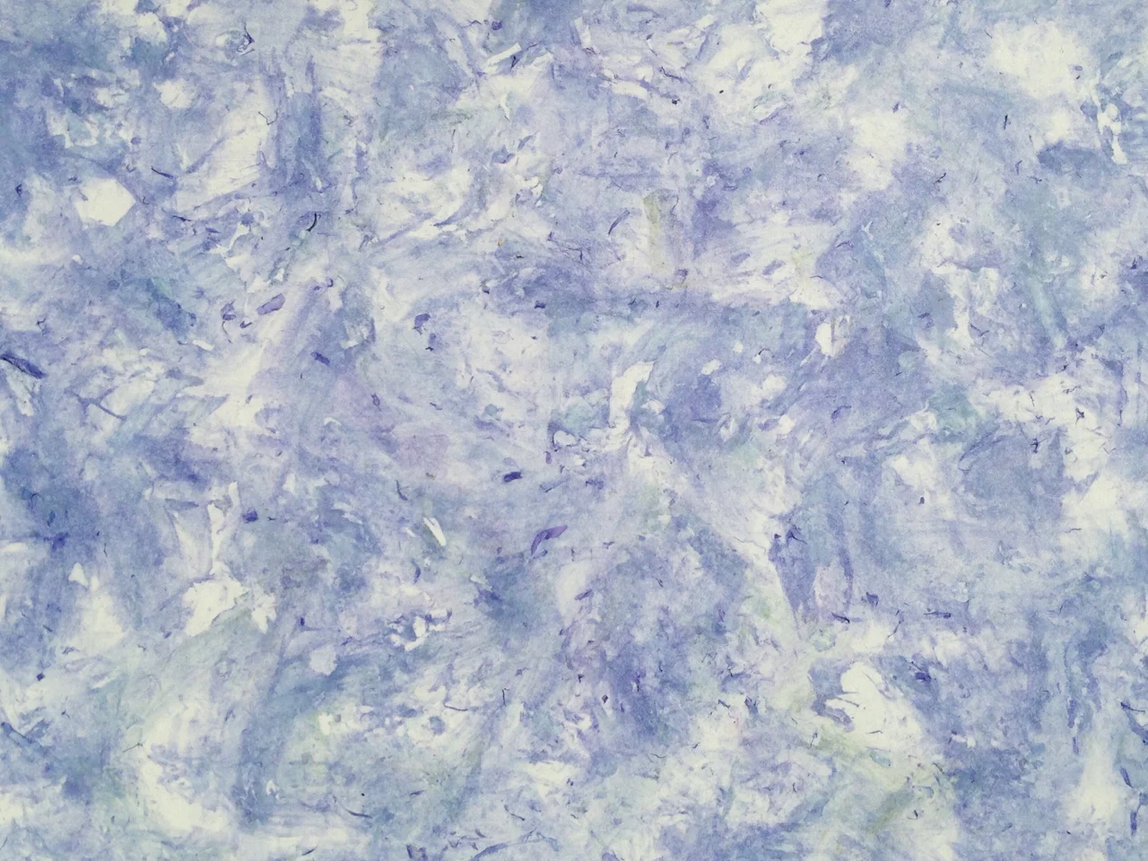 Campanula