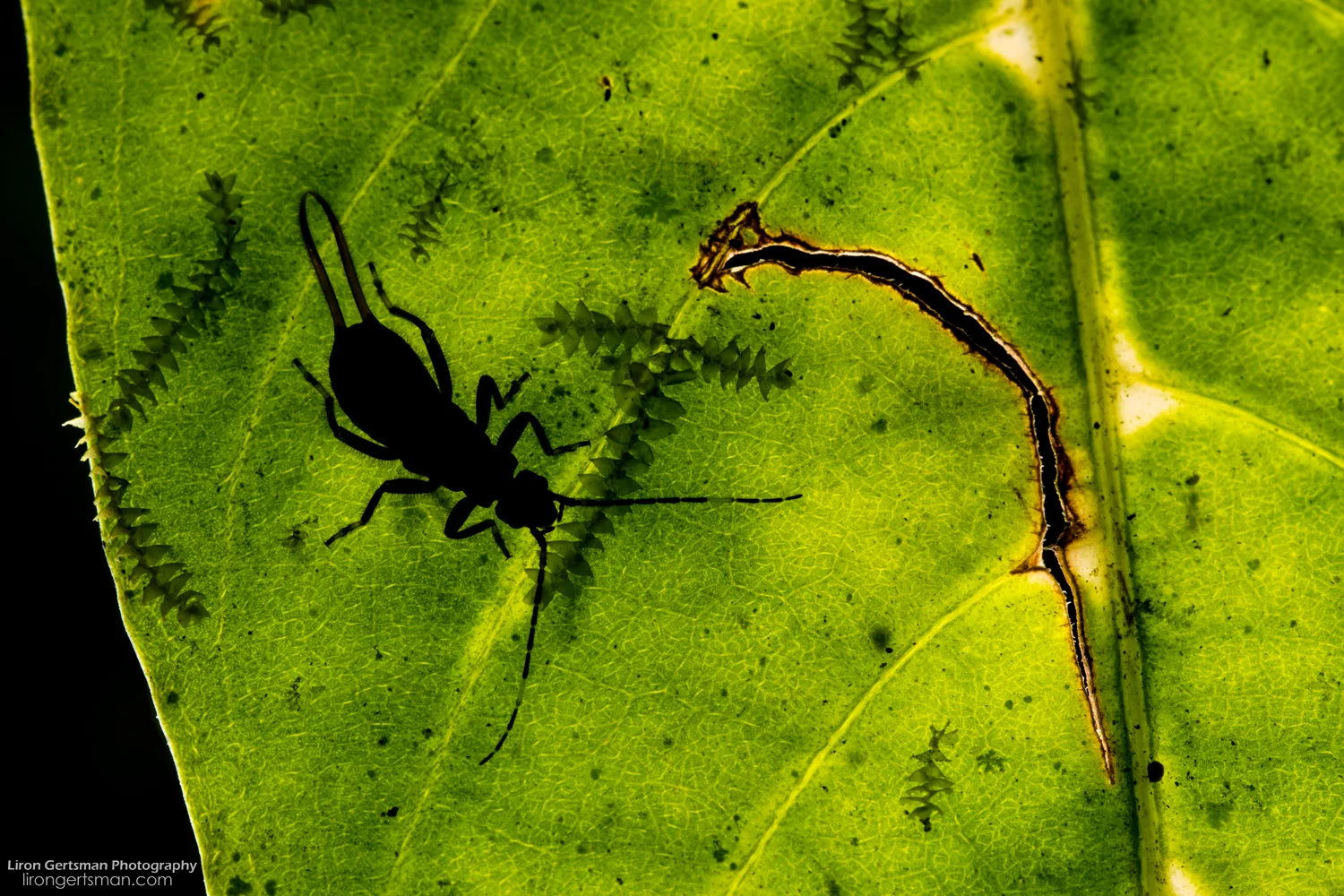 13-web.jpg