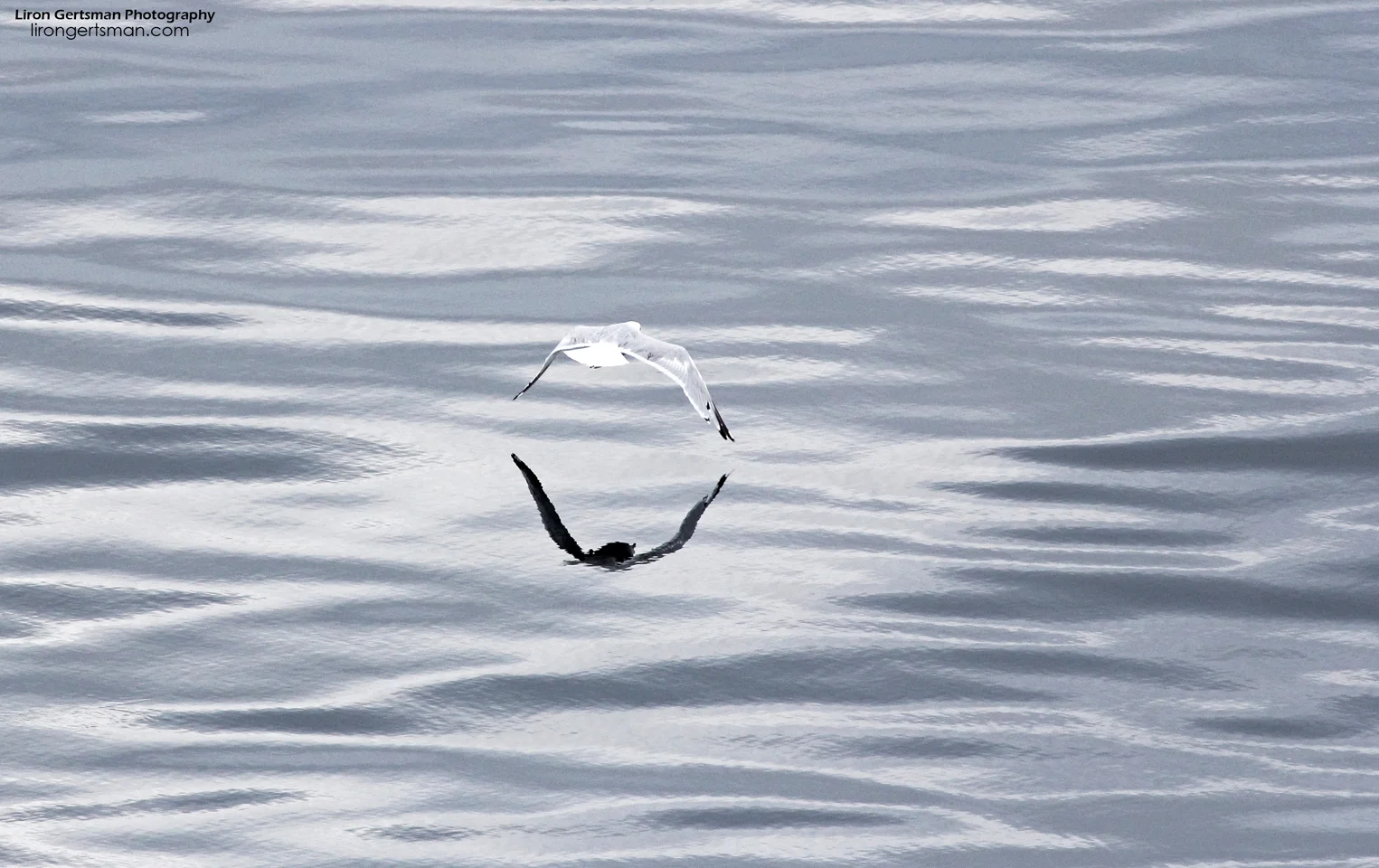 Above-and-Below-web.jpg