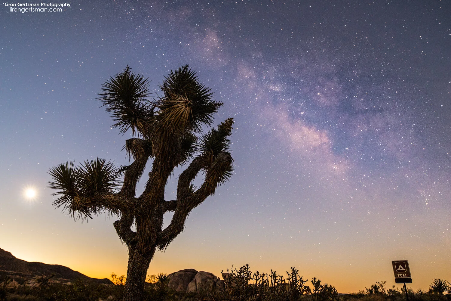 Milky-Way-dawn-web.jpg