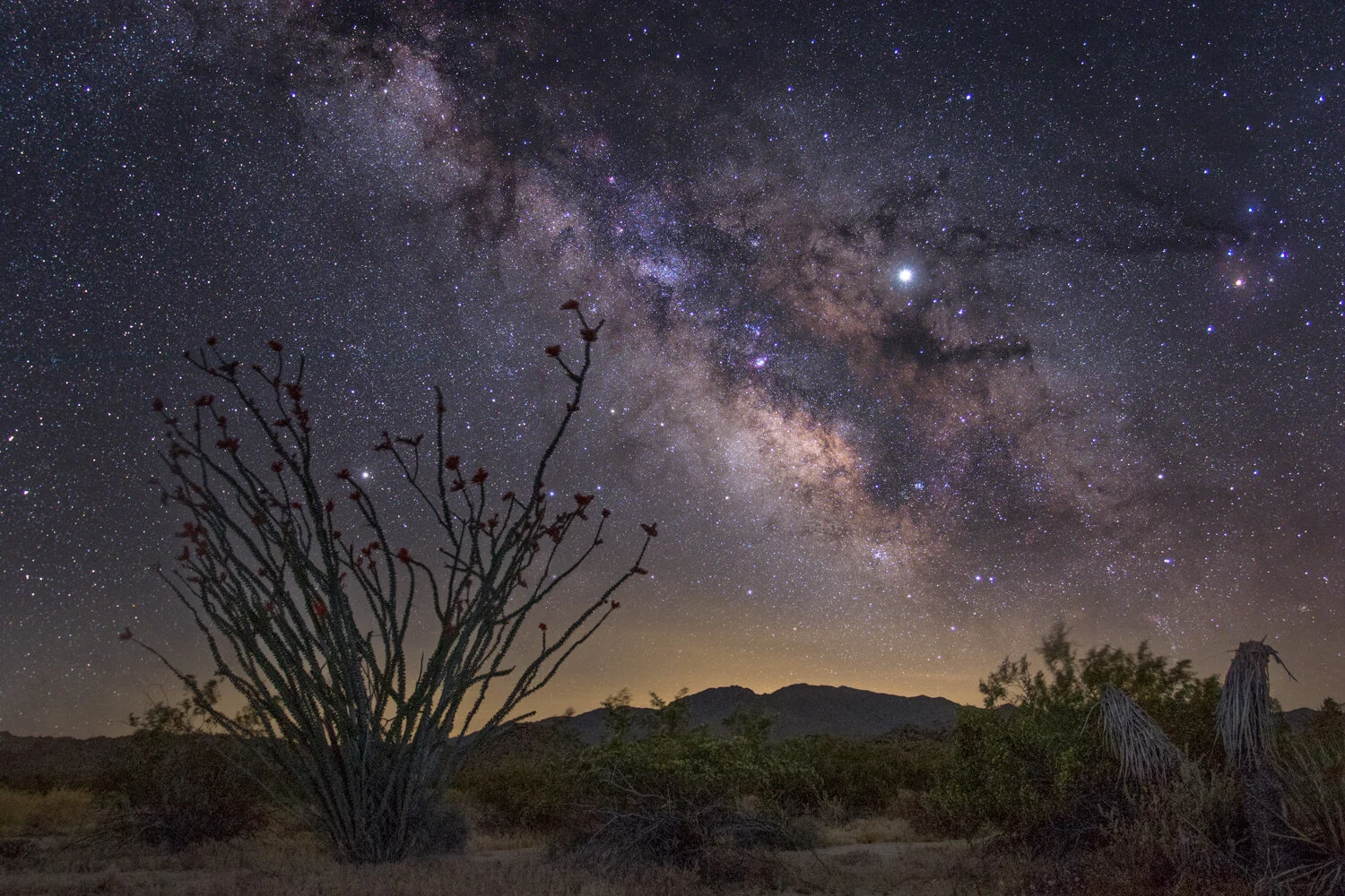 Milky-Way-final_lightened-shadows-web.jpg