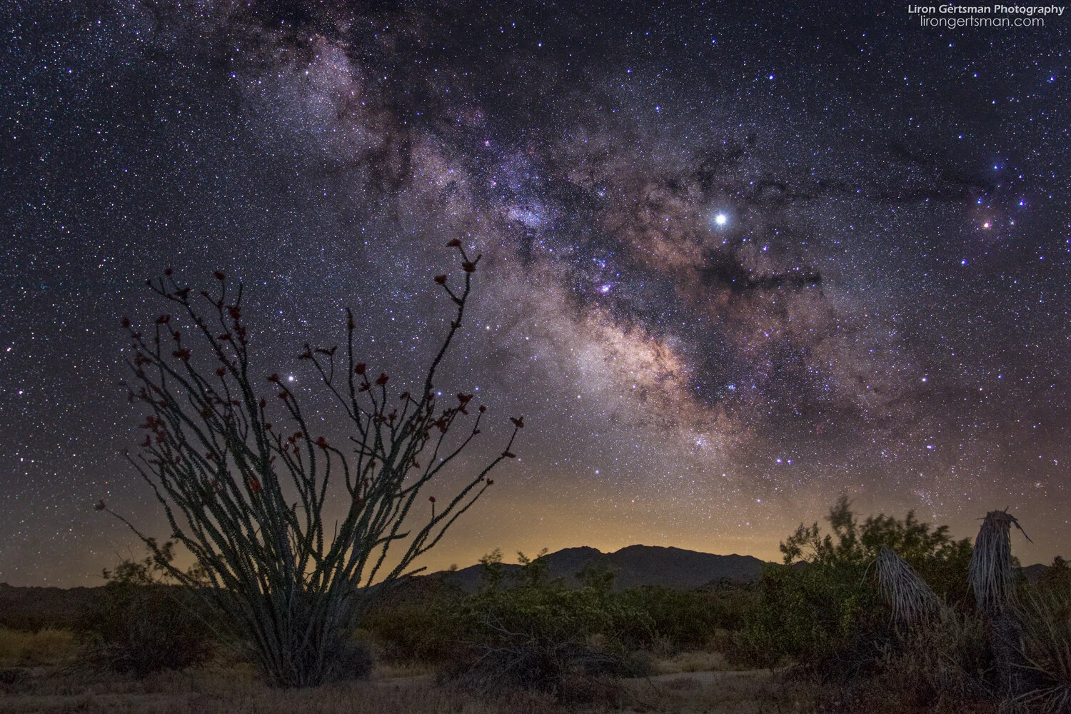 Milky-Way-final_lightened-shadows-web.jpg