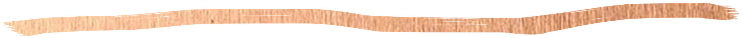 Rose Gold Painted Line medium.png