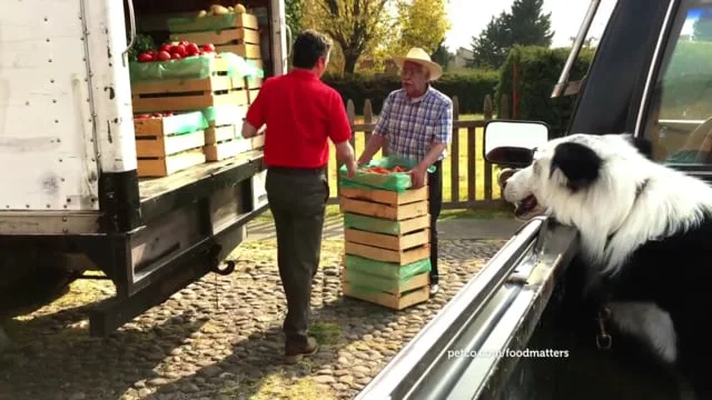 Petco What we feed them matters