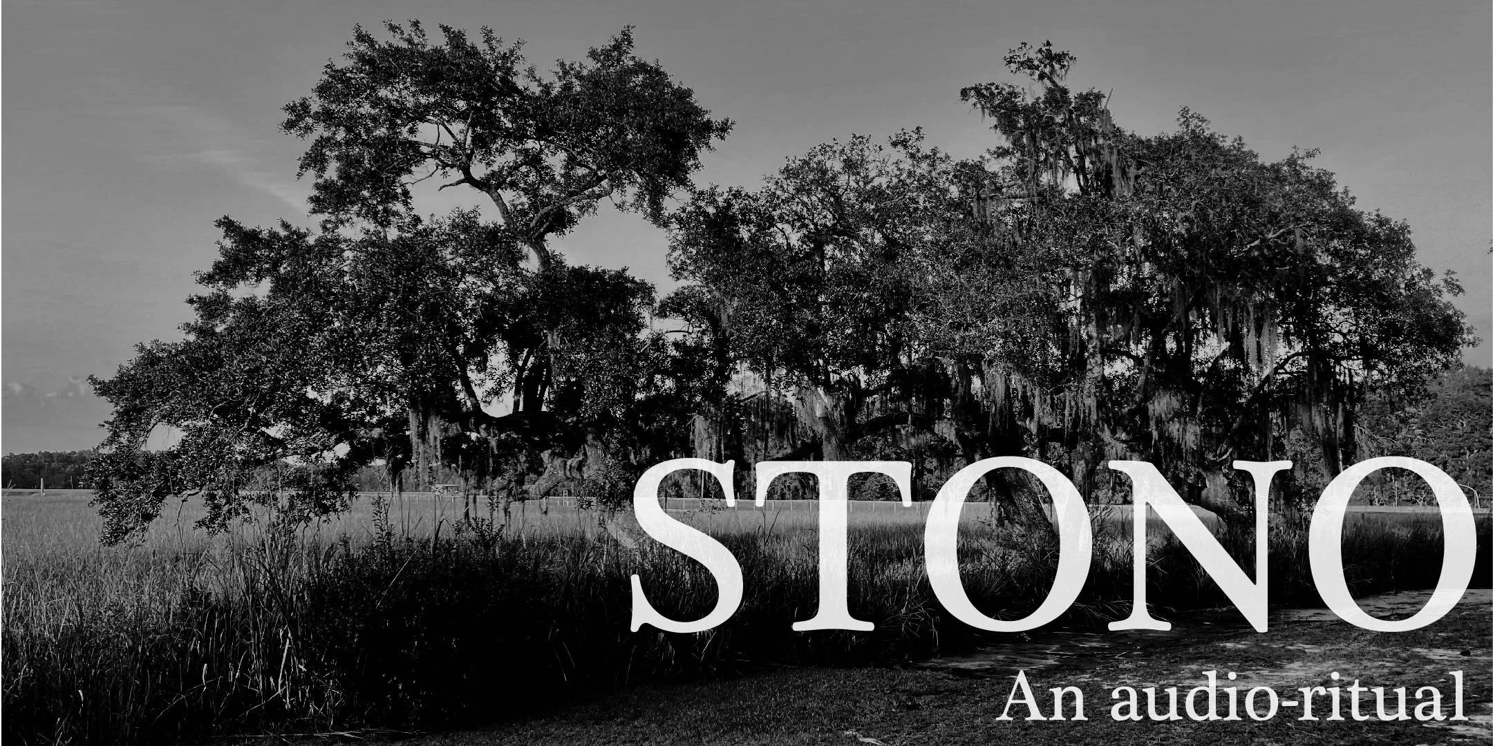 Stono+B&W+2.jpg.webp
