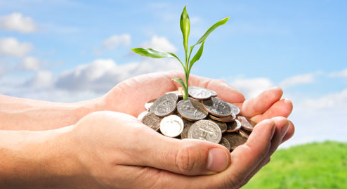 Youi Insurance Pushing a ‘Cheap’ Policy Benefit