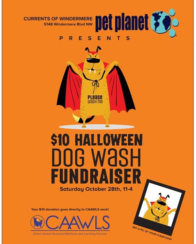 Check out the cool event we have going on at Windermere Pet Planet this Saturday!! Don't let your smelly pooch scare people away this Halloween! 👻