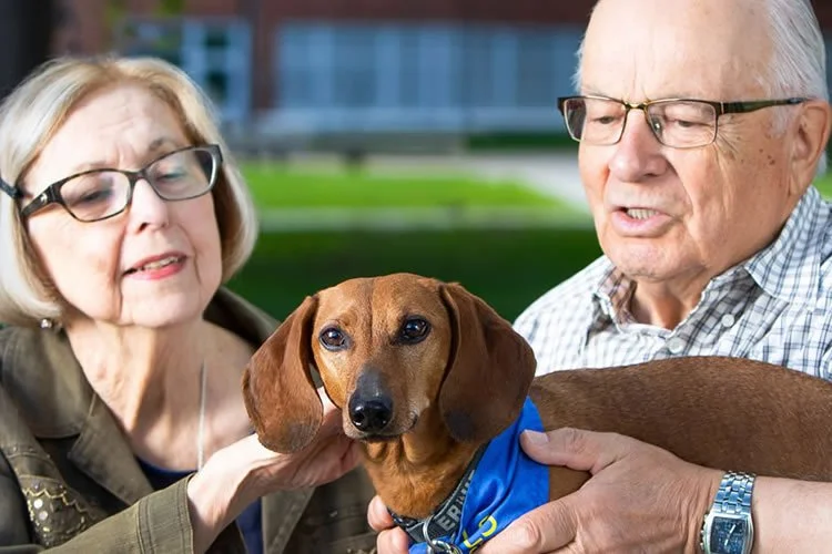 Seniors Housing — CAAWLS