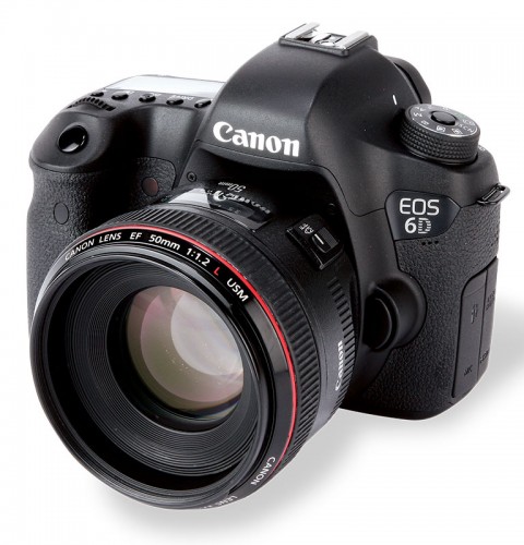 Canon 6D Review: The Affordable Legacy Full Frame DSLR — Shark & Palm