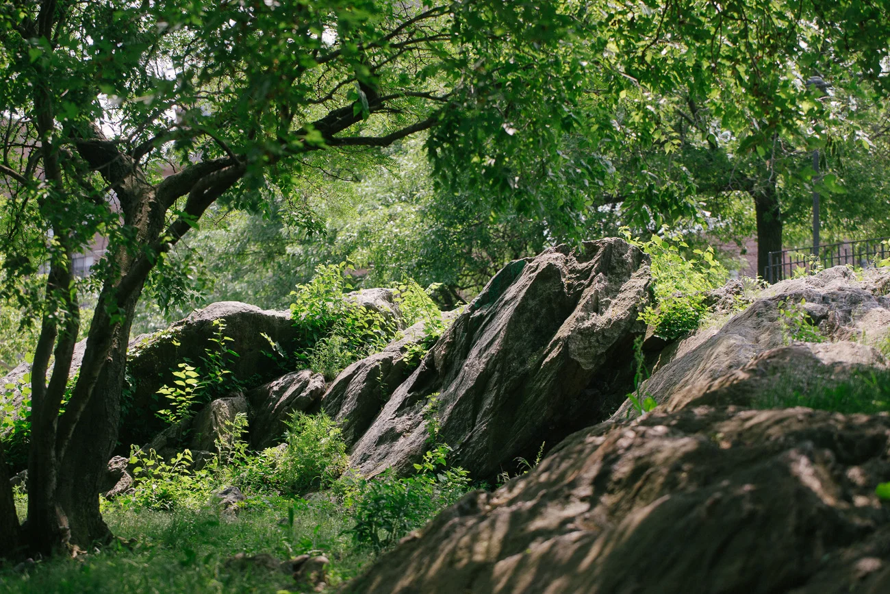 A park in Manhattan. Canon 6D, Canon 100mm f/2.8