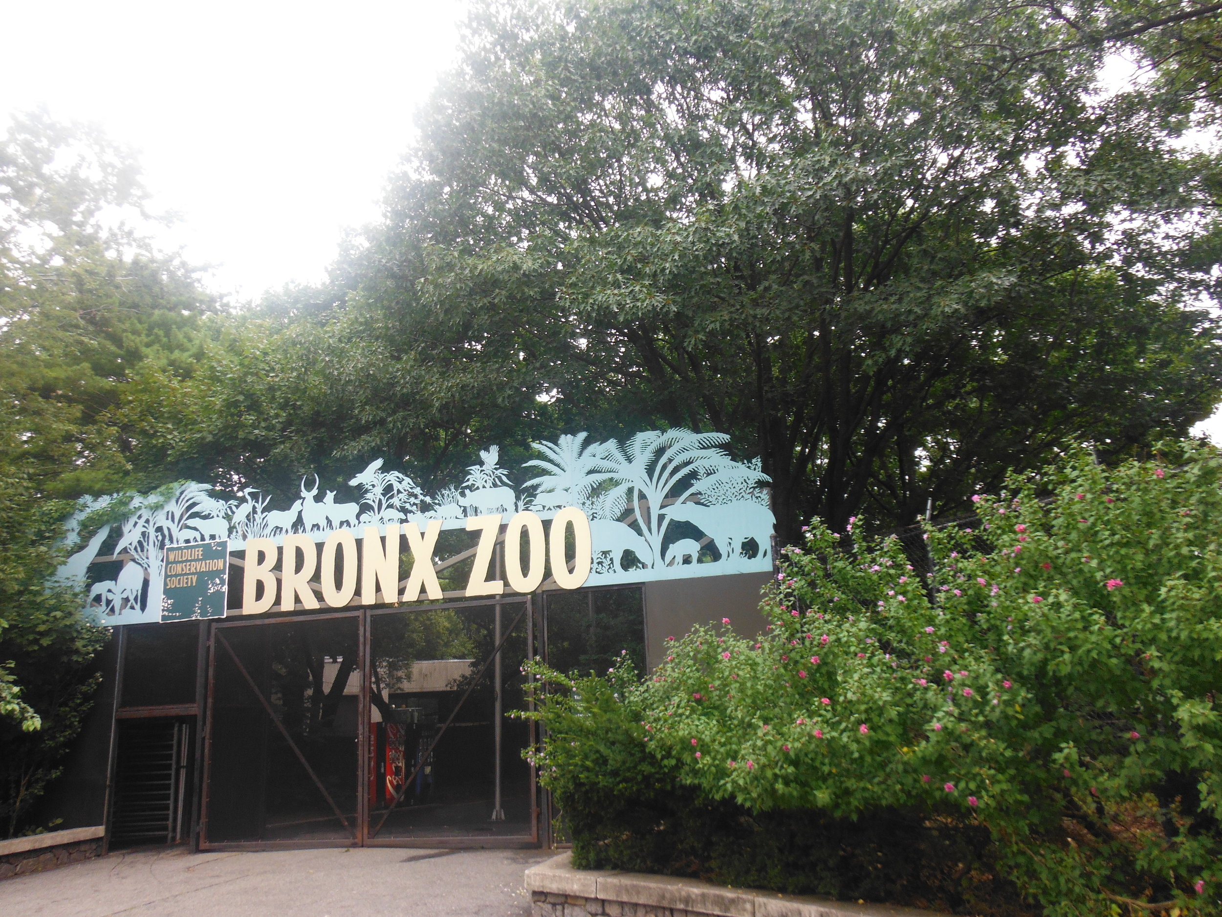 Bronx Zoo 2015