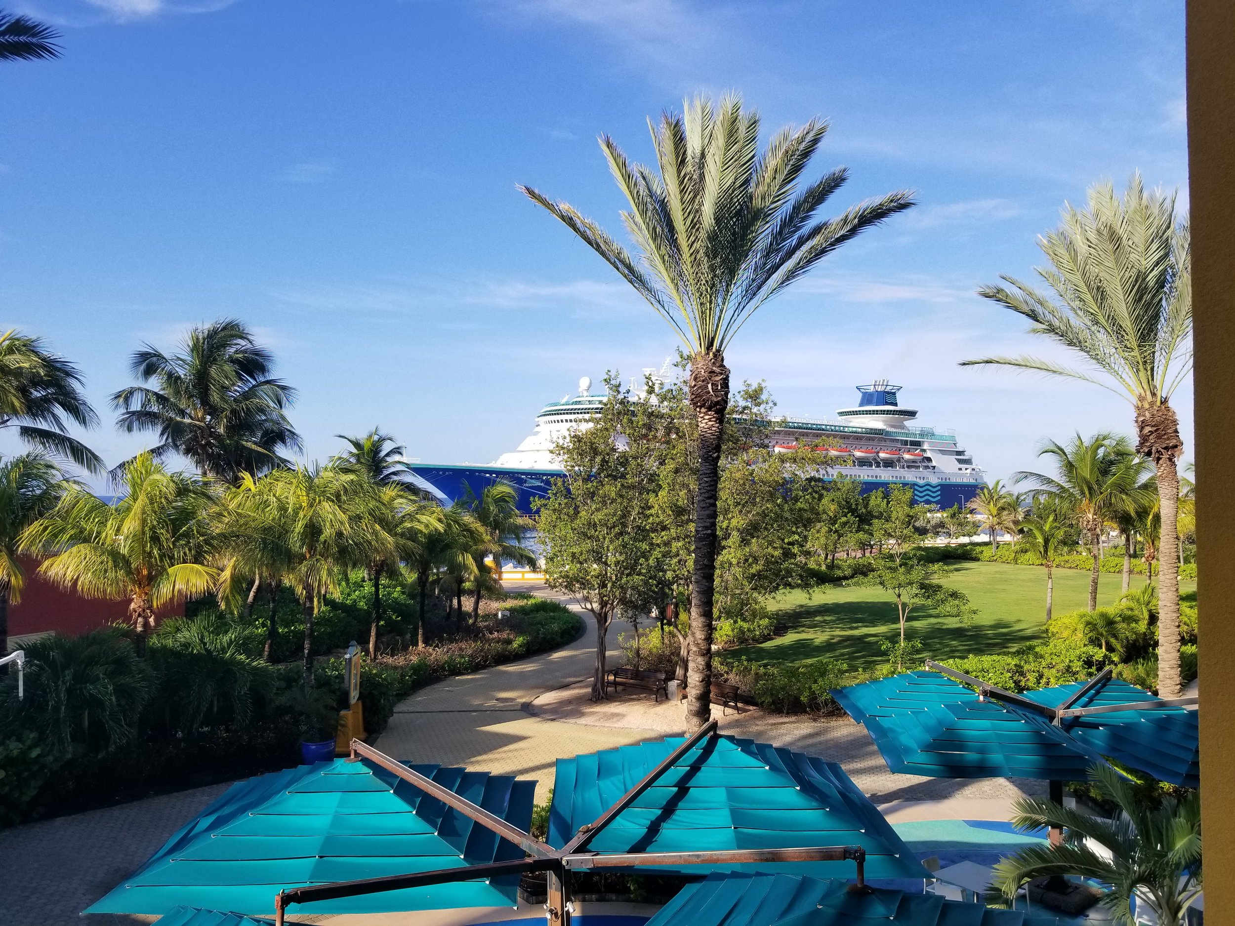 20181015_075944.jpg