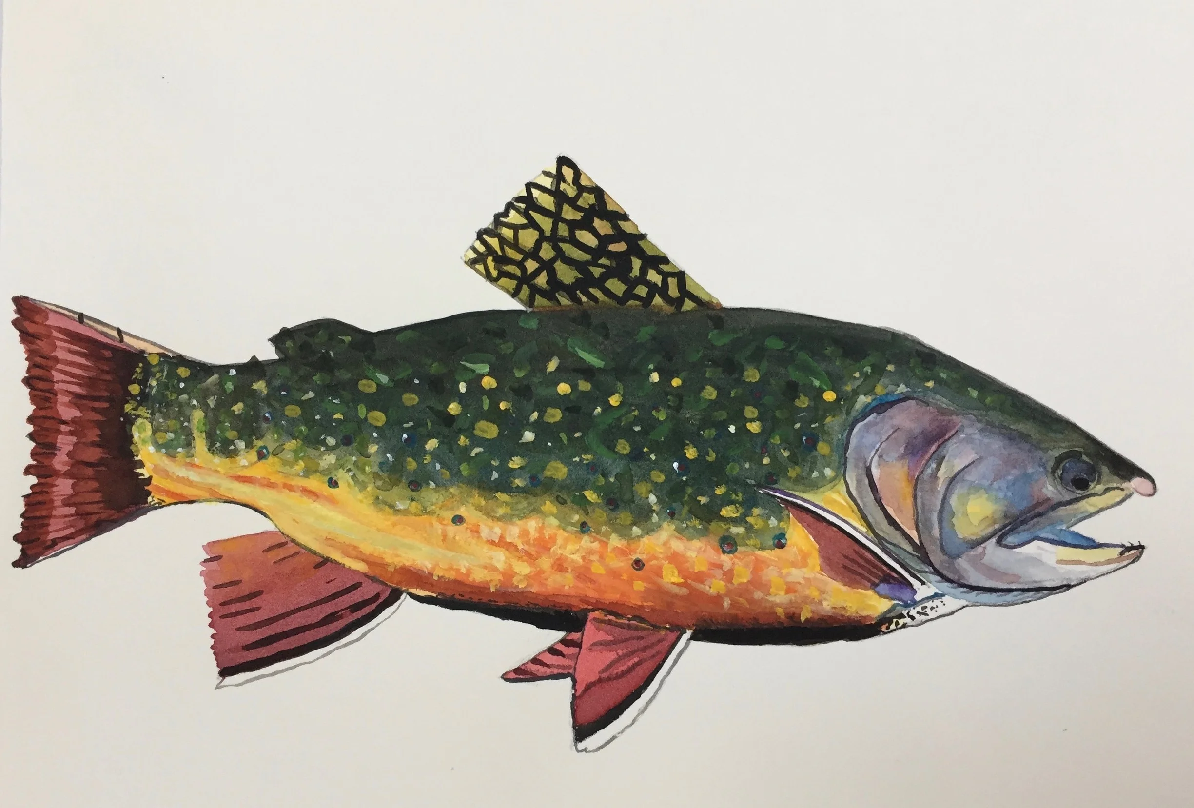 Brook Trout 11X15