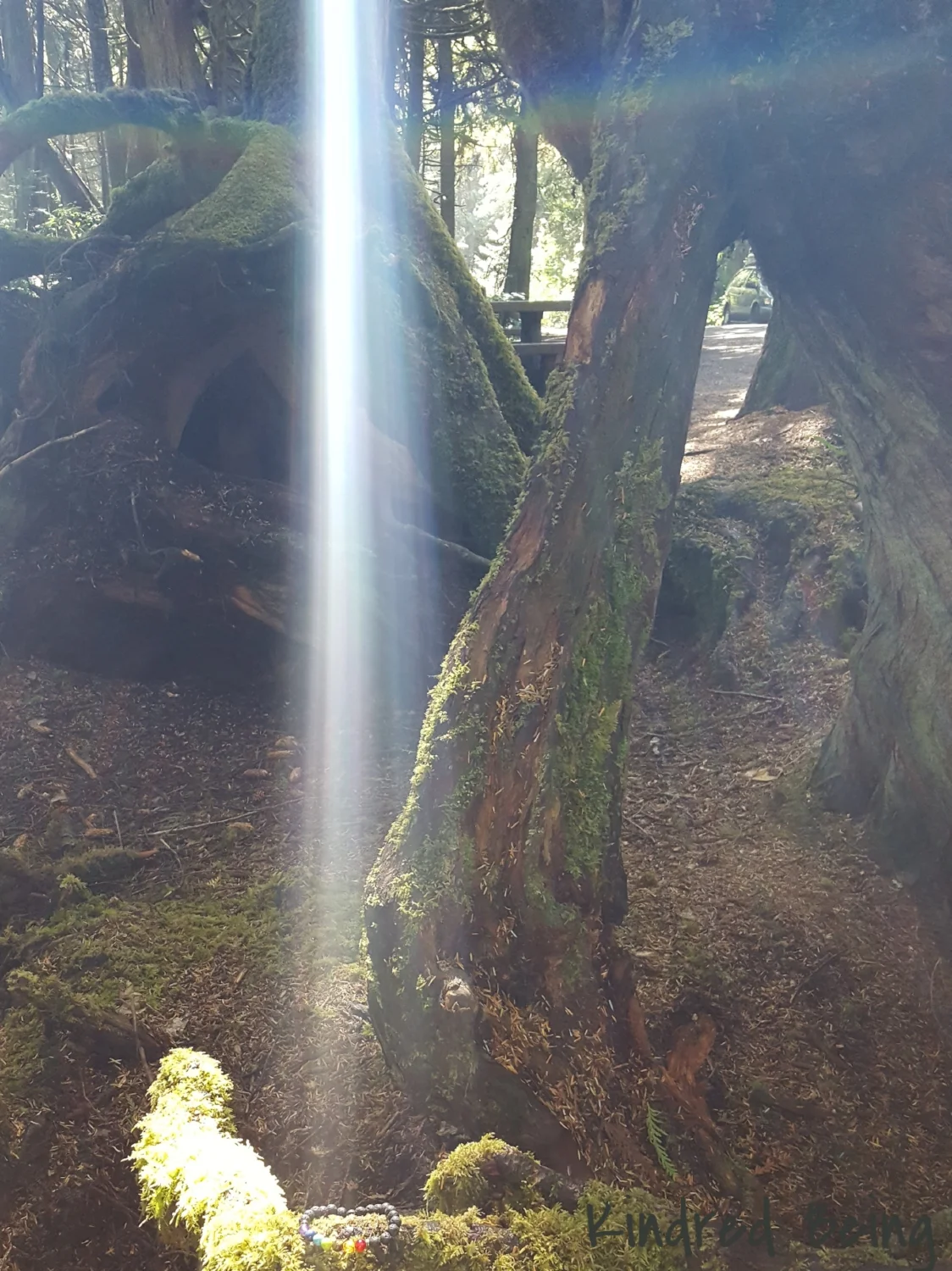 Illumination
