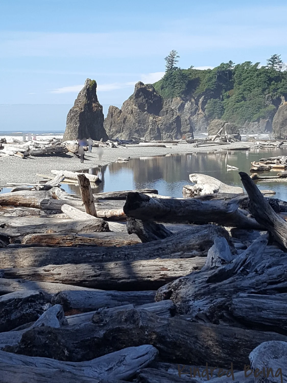 Inlet to Ruby Beach