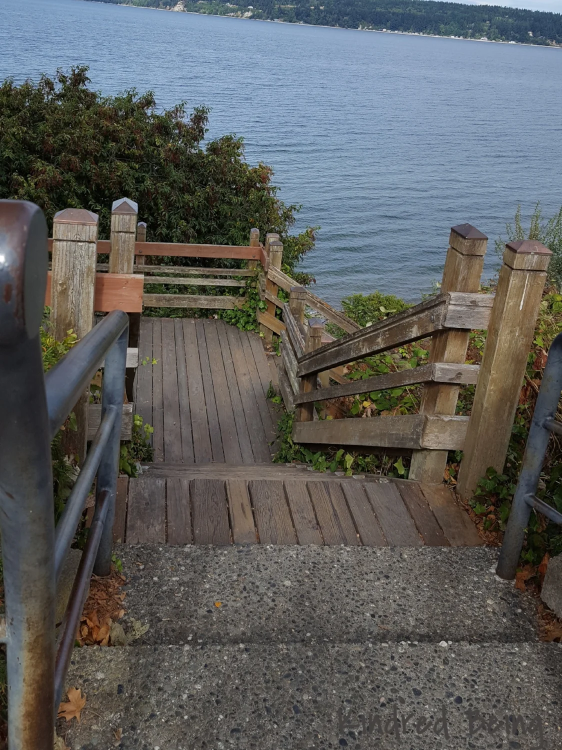 Steps to Serenity