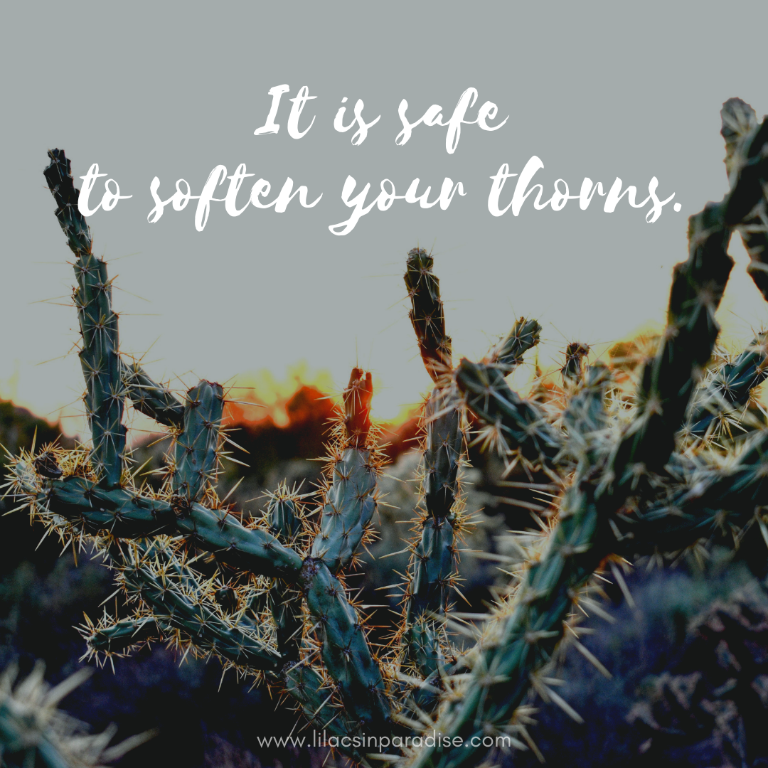 softenyourthorns.lilacsinparadise.jpg