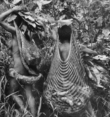 Image credit: Sebastiao Salgado, Genesis