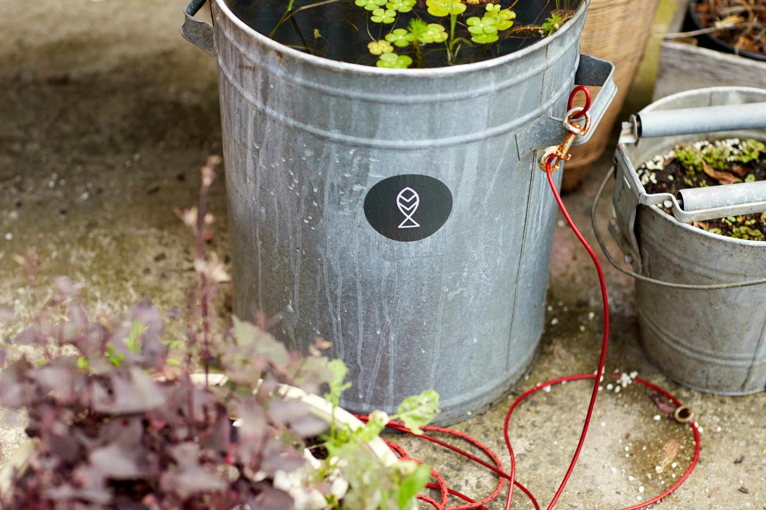 Photo: Björn Rust | Farmwall Aquaponics , Alphington, Victoria