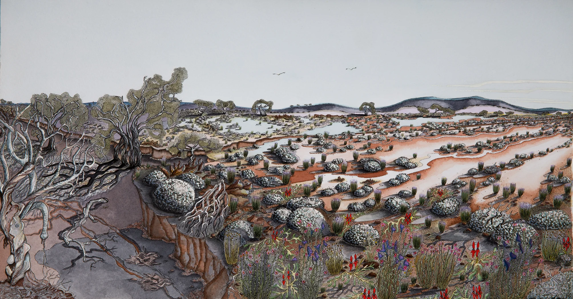 Desert Dreaming by Charmaine Tracey
