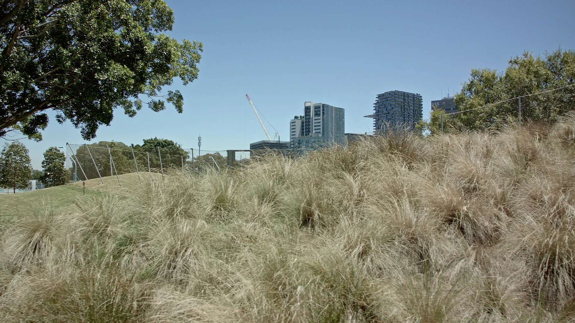 Fig. 5 Still from 'Ground' | Linda Tegg and Baracco+Wright with David Fox Prince Alfred Park & Pool Upgrade Neeson Murcutt Architects with Sue Barnsley Design landscape architecture