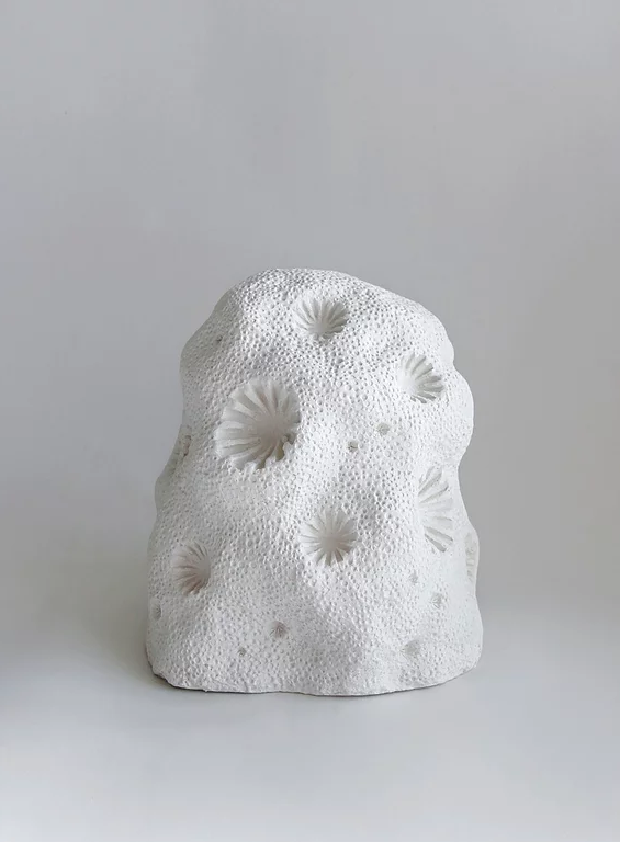 Coralise , by Jessica Gregory, is a 3D printed organic form made from calcium carbonate from coral skeletons. 