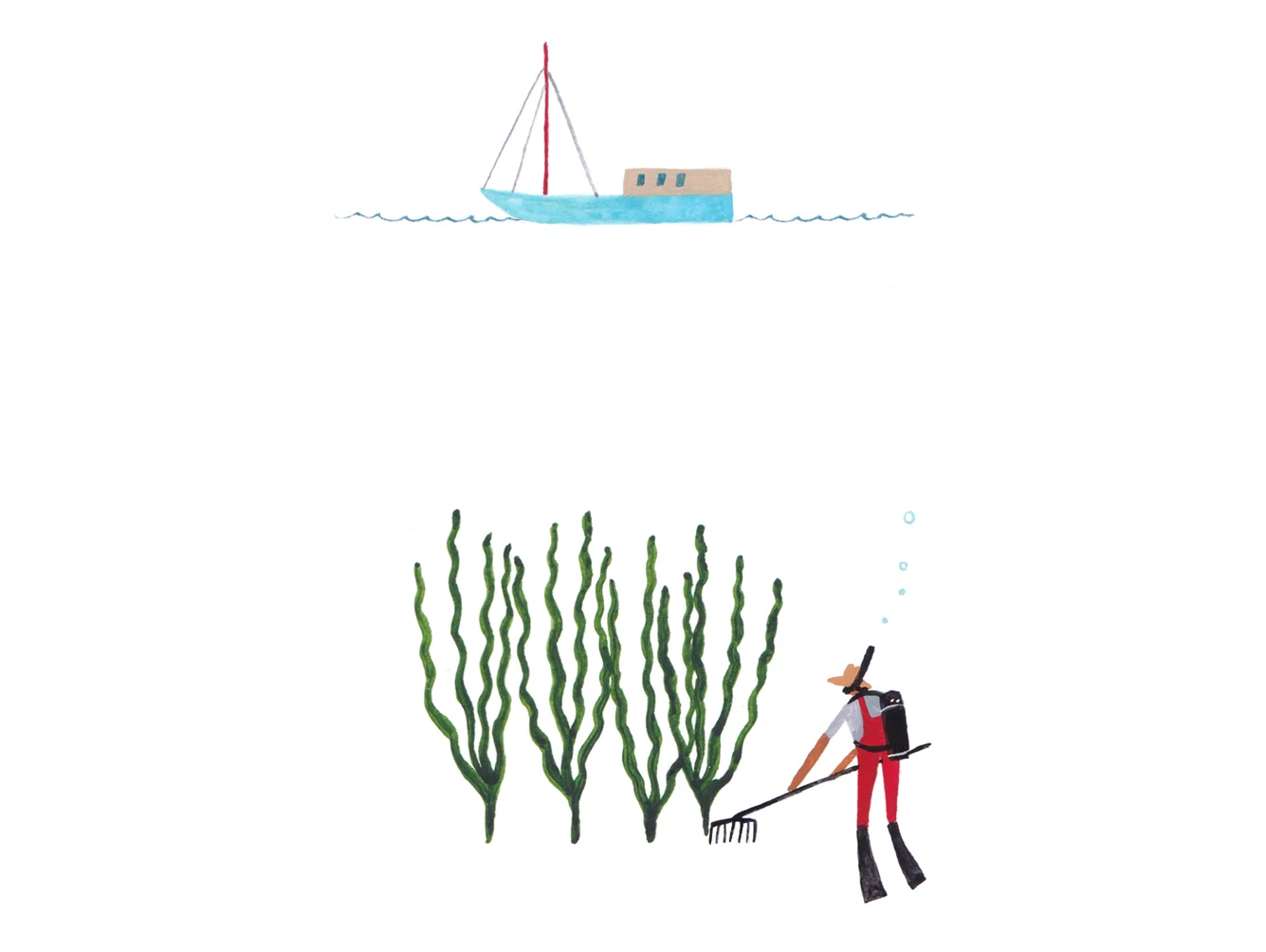 Seaweed image 8 - underwater farmer.jpg