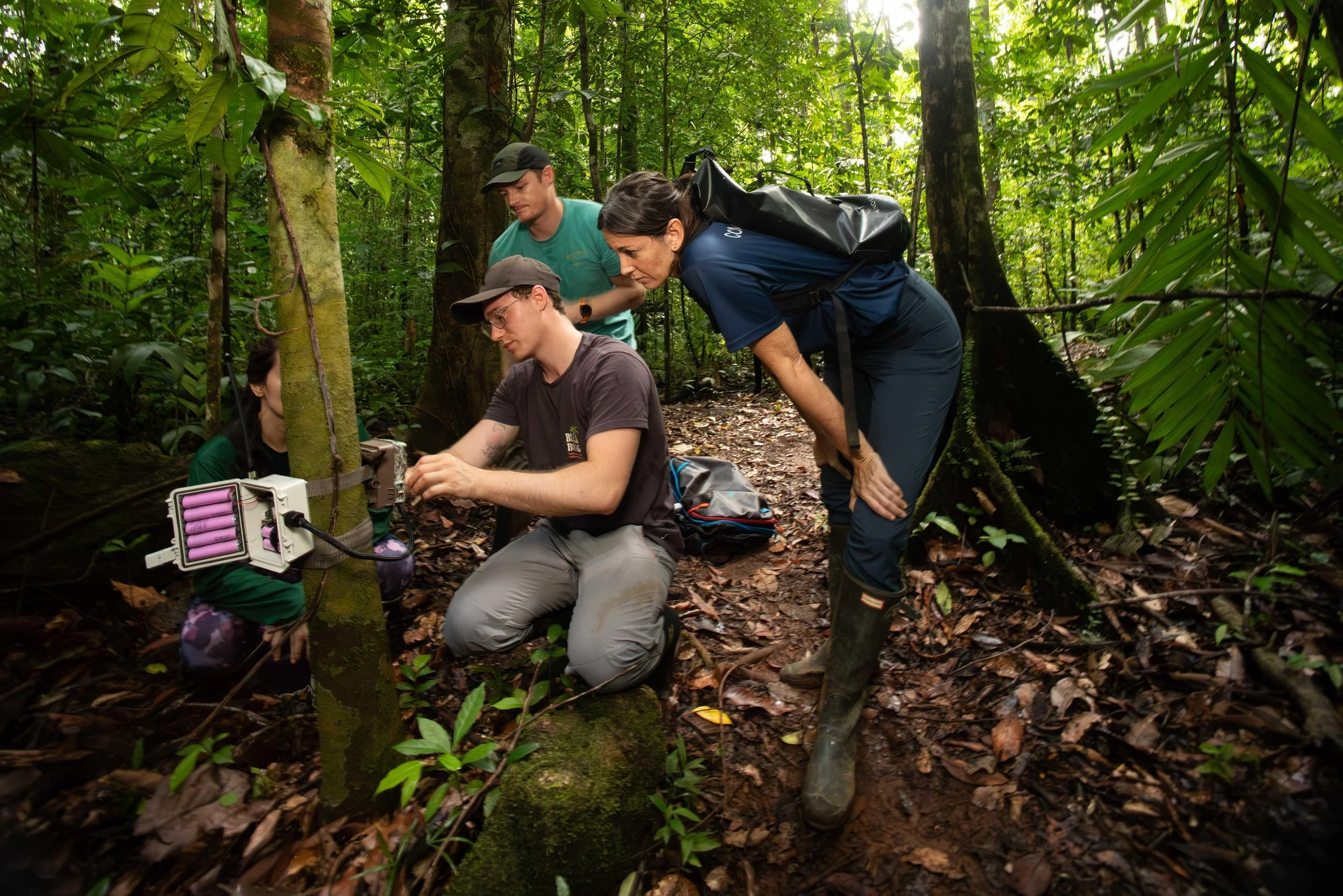 Meet the Companies Using AI to Solve the World’s Greatest Environmental Challenges