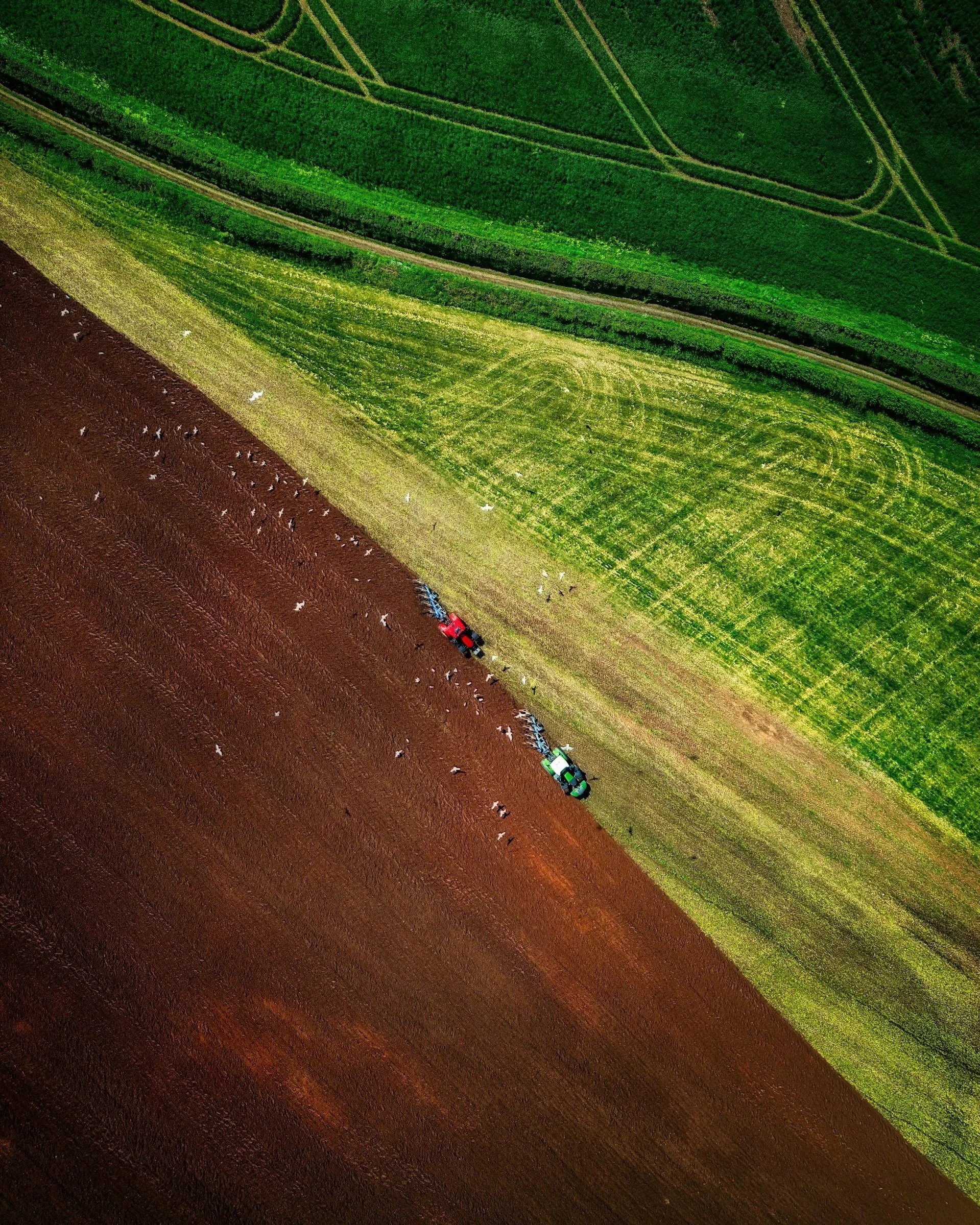 Is it Sustainable? Quantifying Footprint Through Life Cycle Approaches