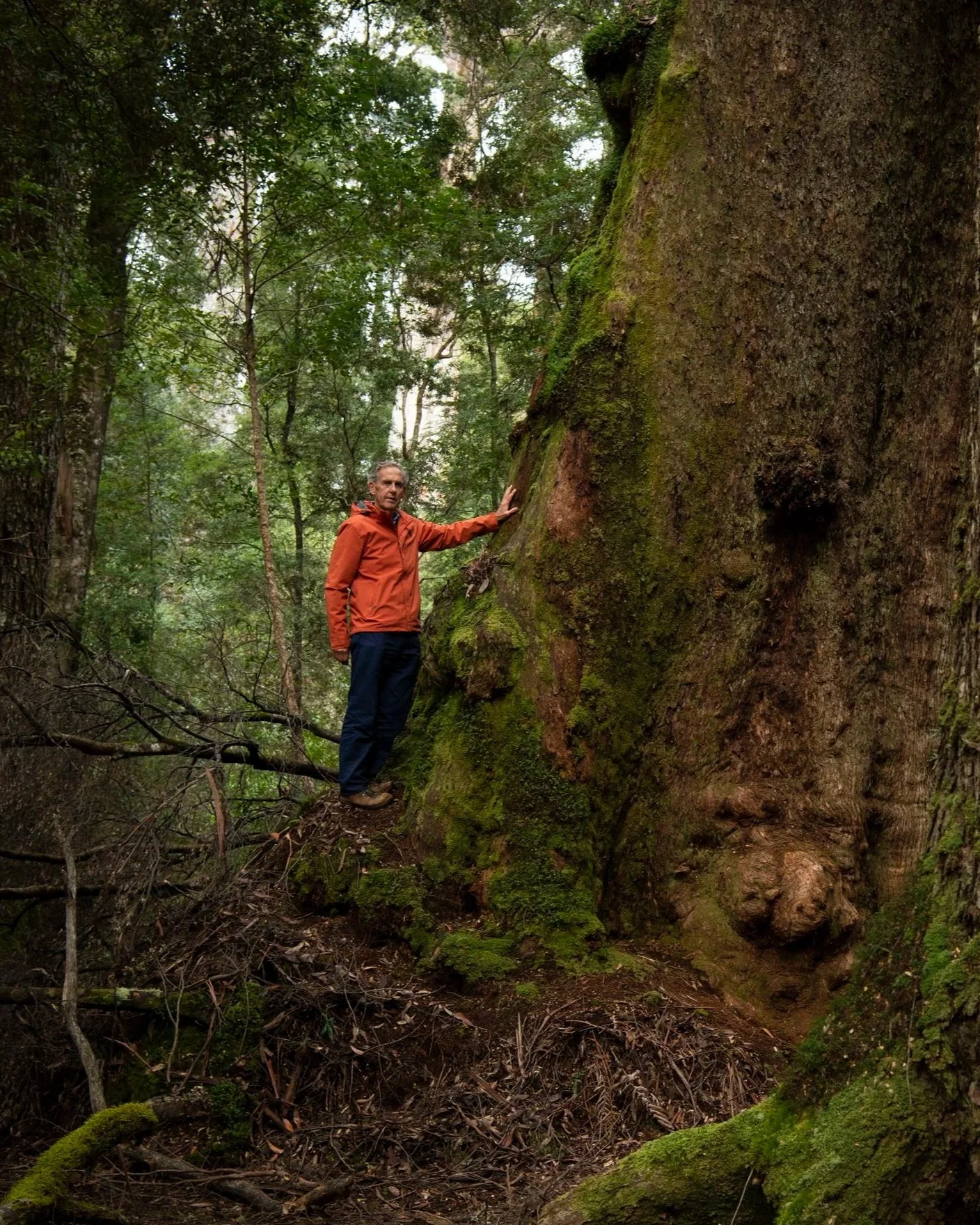 Australia's Green Conscience: Dr. Bob Brown on Apathy, Hope, and Collective Action