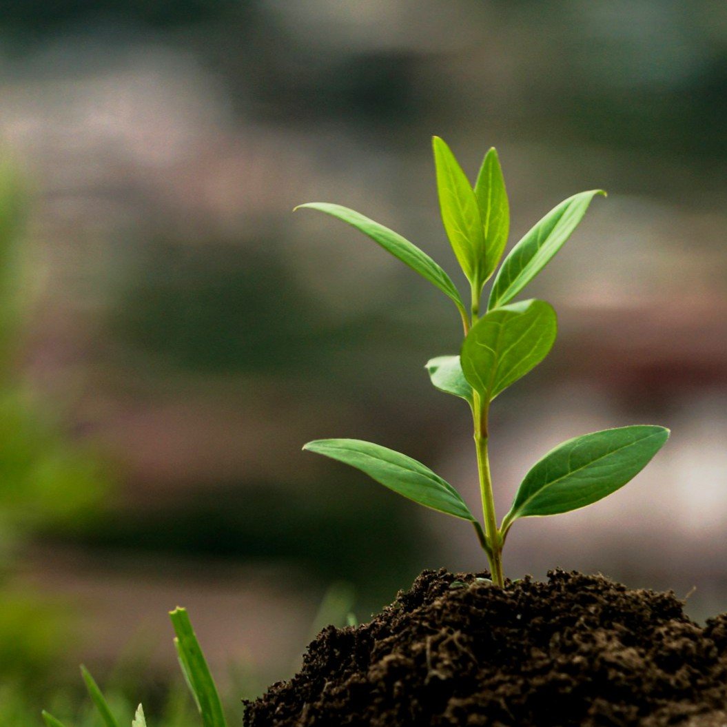 Systemic Investing: A New Approach to Solving Global Challenges