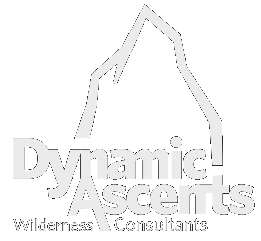 Dynamic Ascents