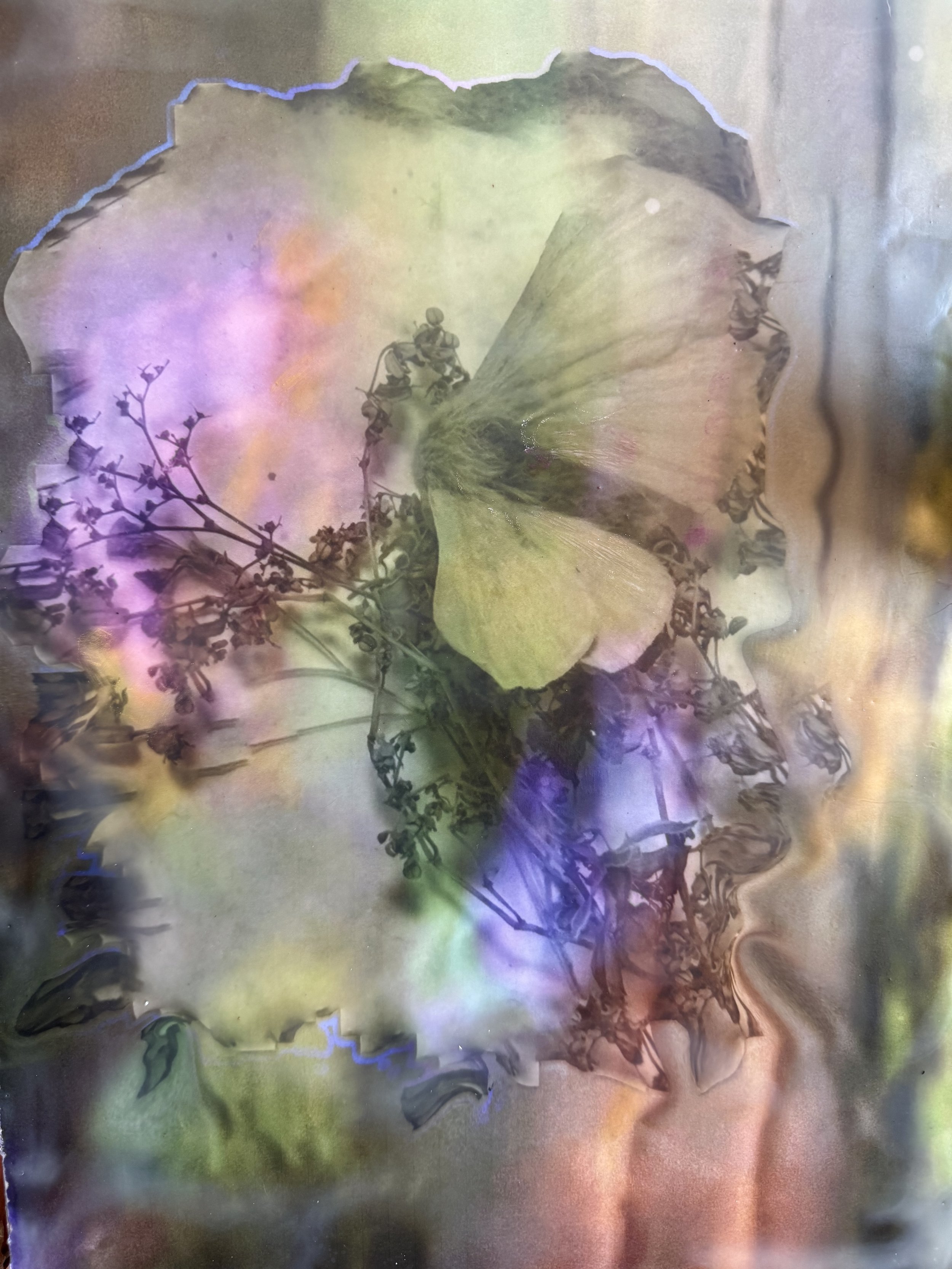 IMG_5490.jpeg