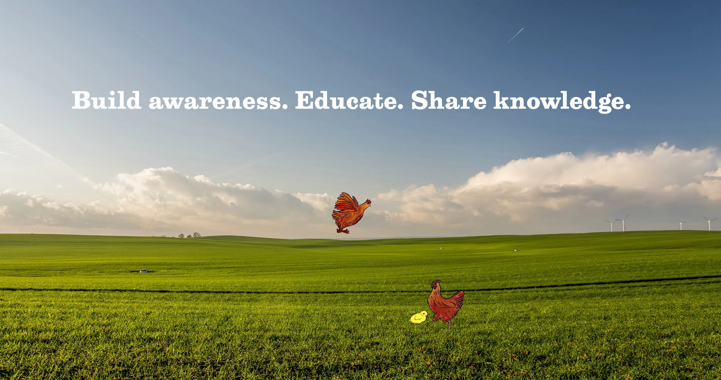 Mother Hen’s mission is to let consumers know where their eggs are sourced. I created an awareness campaign through an illustrated booklet which ultimately evolved into a mobile egg app guide.