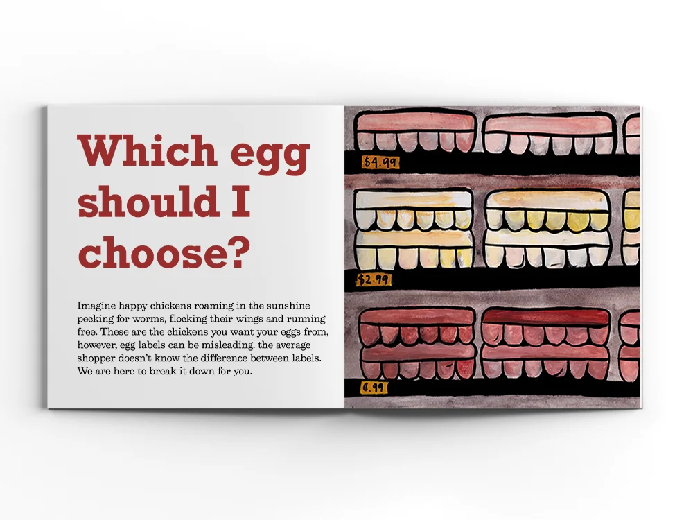 which egg layout.jpg