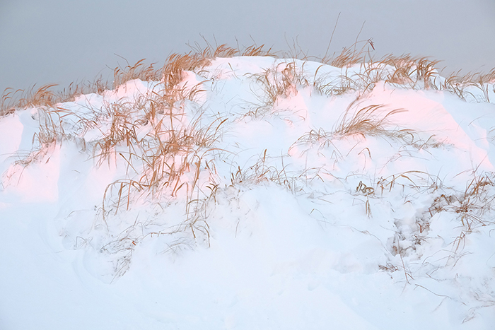 SnowDunes2LowRes (1).jpg