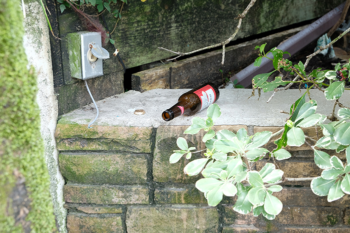 StillLifeWithBudweiser_1500.jpg