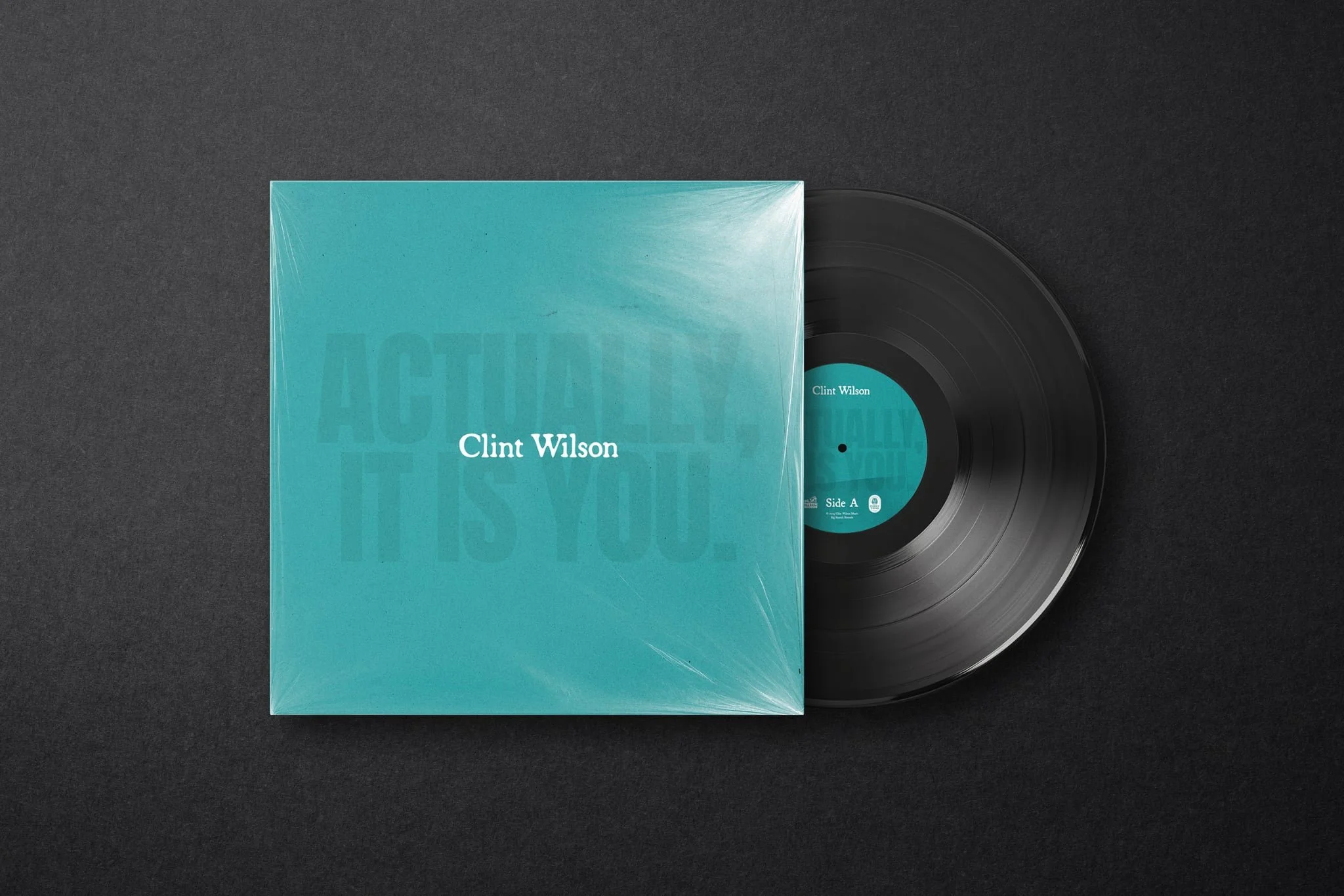 Actually, It Is You (12" Vinyl)