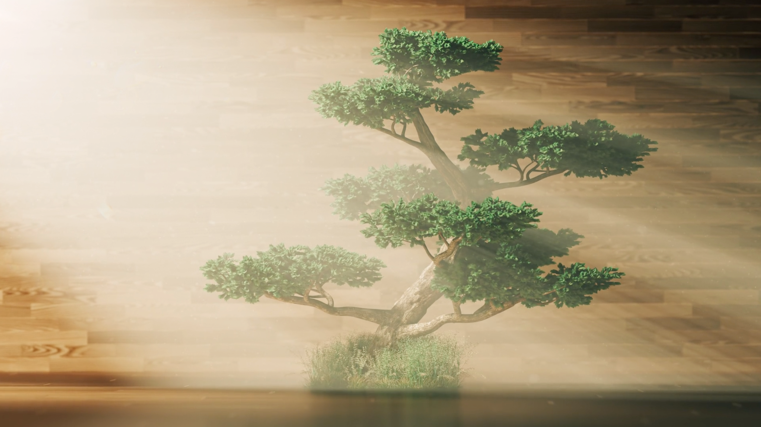 92a1d767943801.5b4c3f04abd28.png