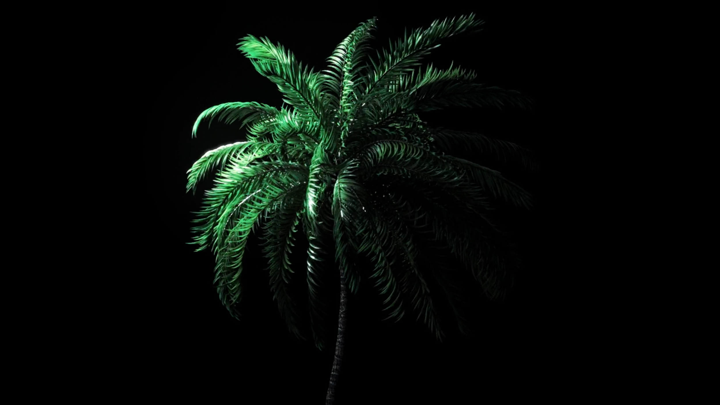 54282167943801.5b4c3f04aca50.png