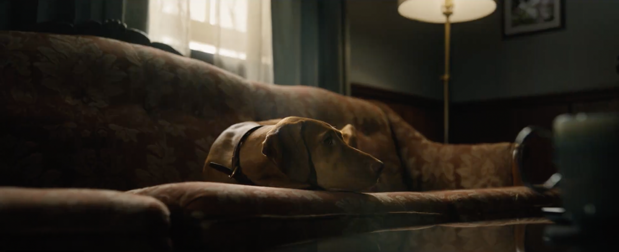 Screenshot 2023-07-28 at 3.29.26 PM.png