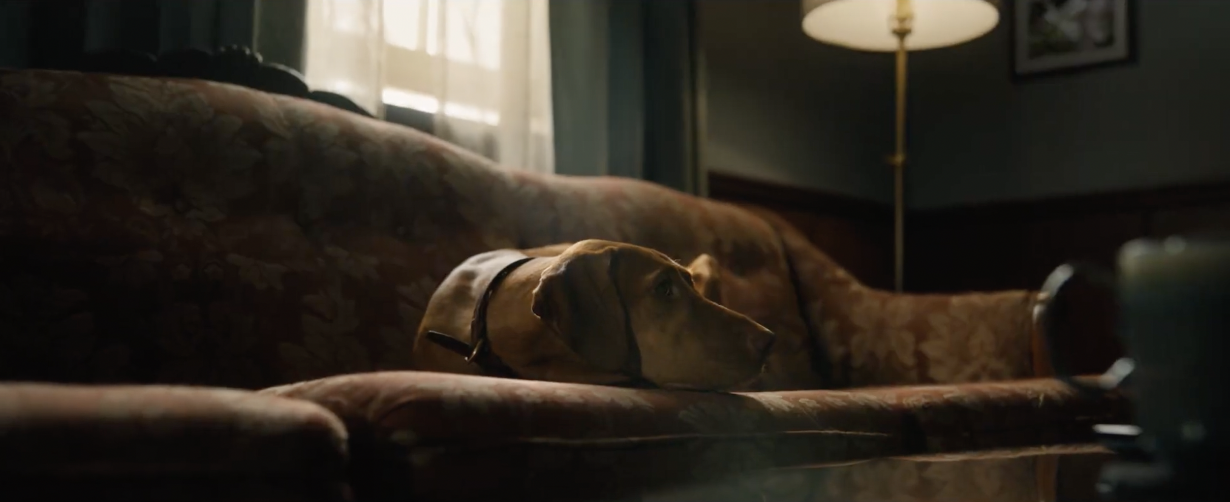 Screenshot 2026-04-08 at 2.08.39 PM.png