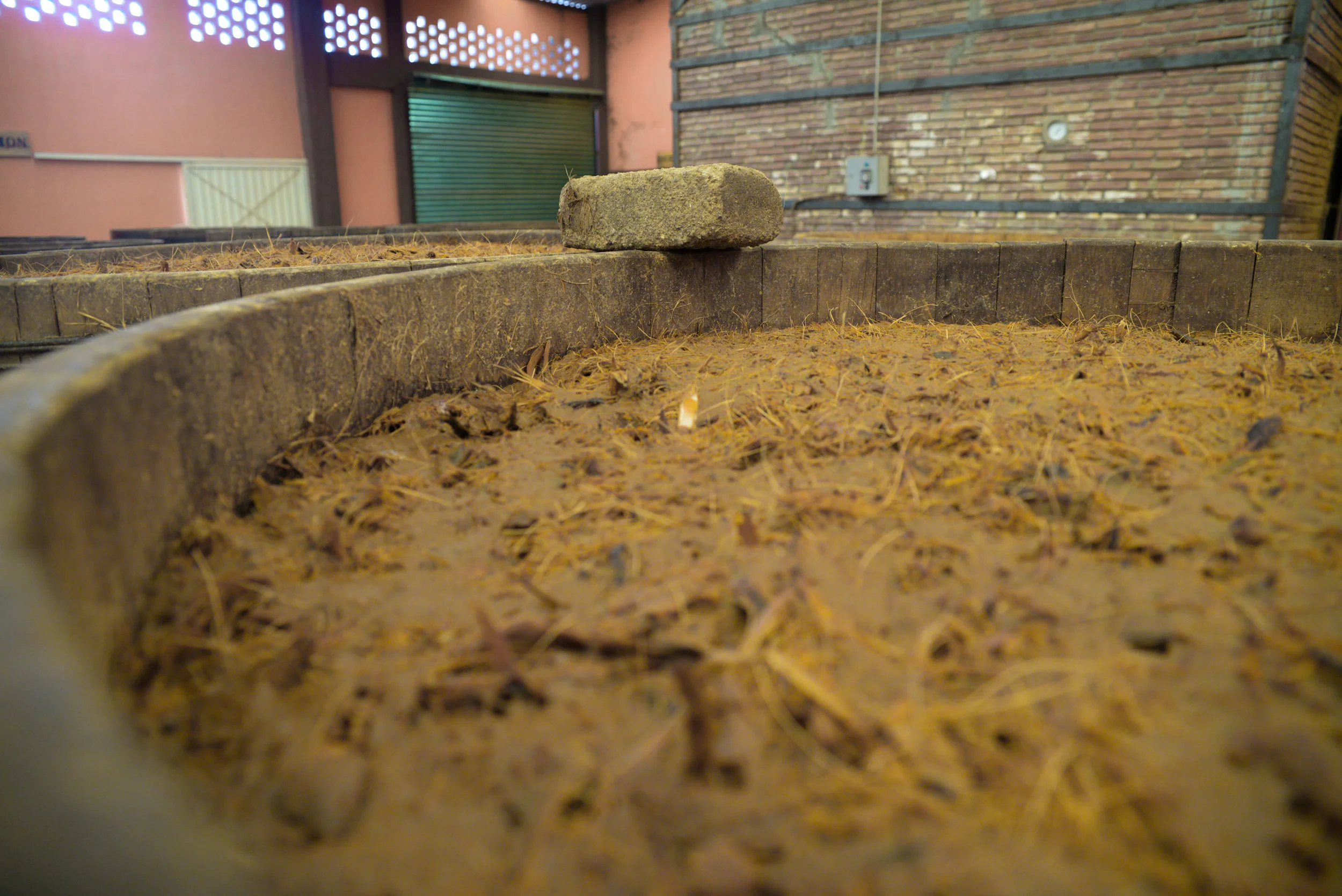 Fermentation.jpg