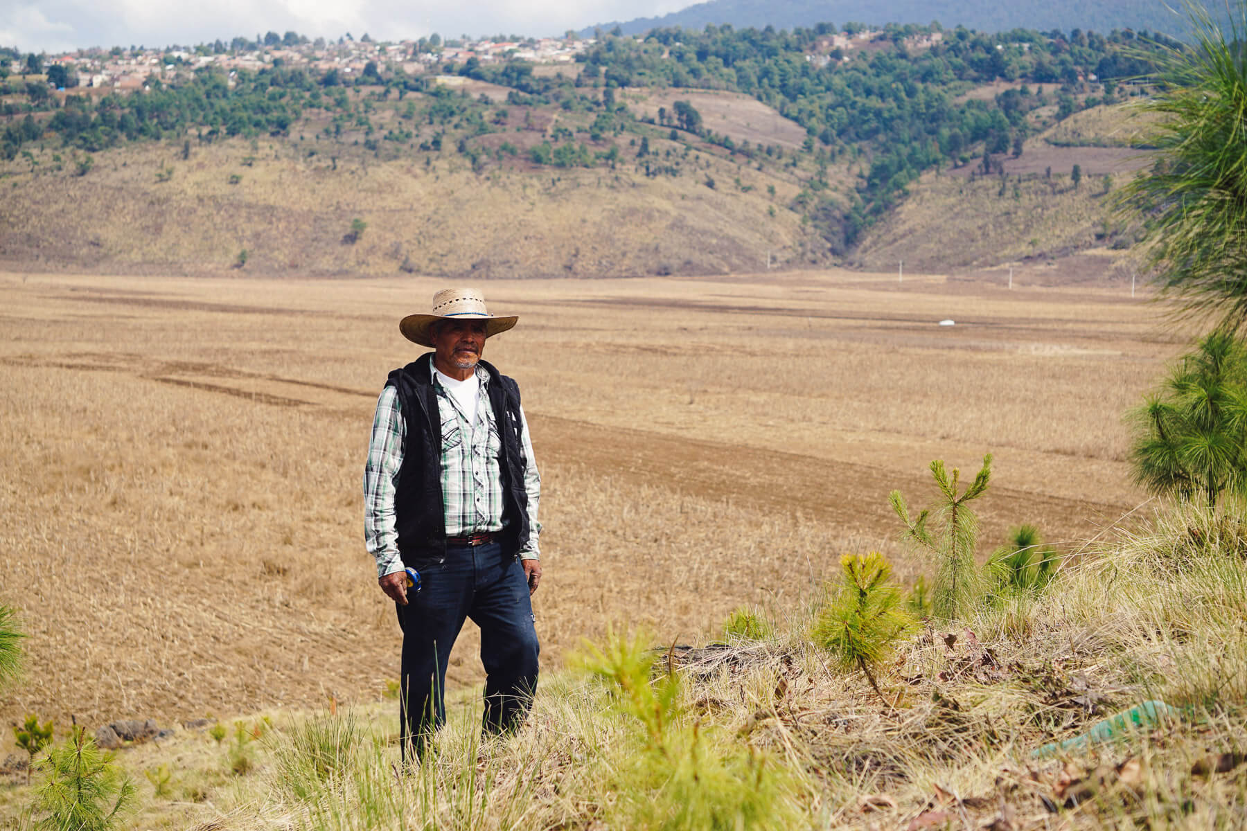 Ejido Verde Mexico reforestation project